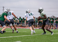 Reedy Spring Ball-13