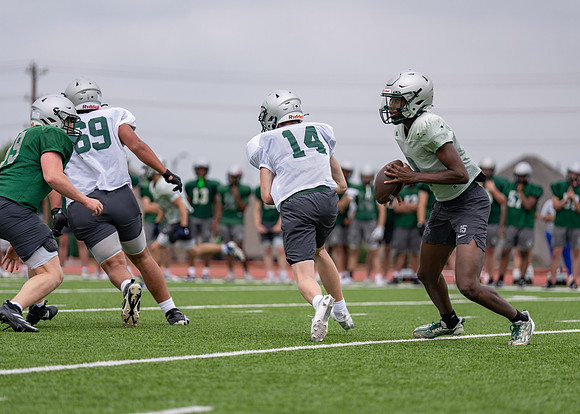 Reedy Spring Ball-13