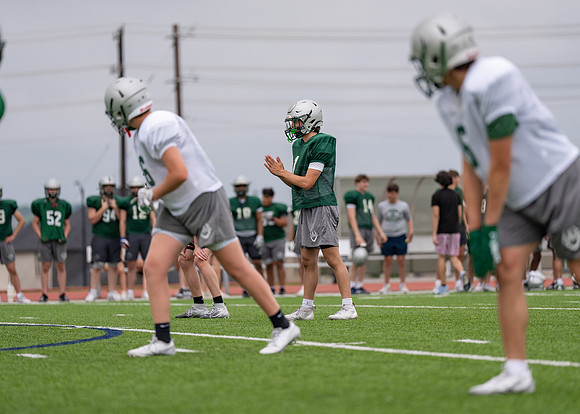 Reedy Spring Ball-82