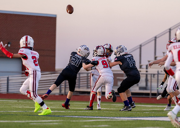 10U Red Radiers vs. Ravens-84