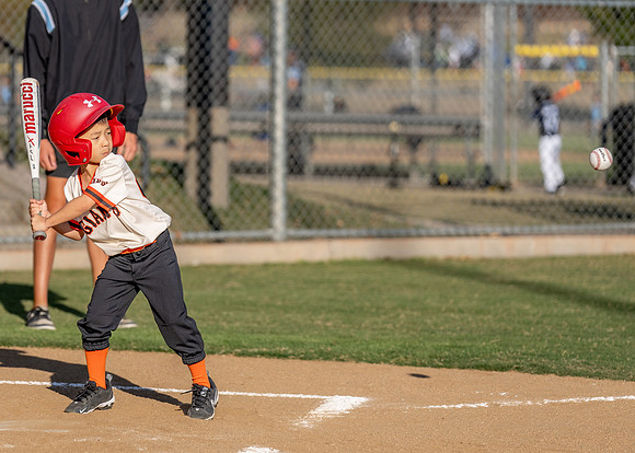 Giants Baseball Action-78