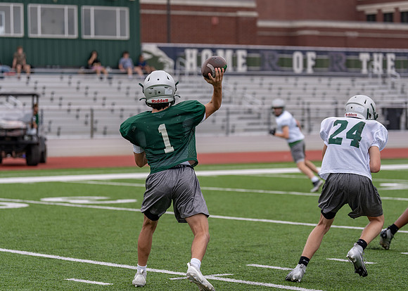 Reedy Spring Ball-43