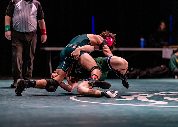 LT vs. Reedy-248