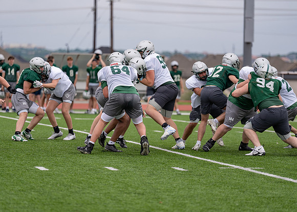 Reedy Spring Ball-88