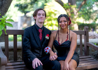 HOCO-6