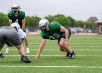 Reedy Spring Ball-8