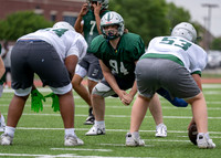 Reedy Spring Ball-6
