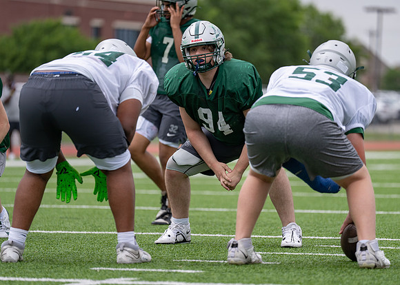 Reedy Spring Ball-6