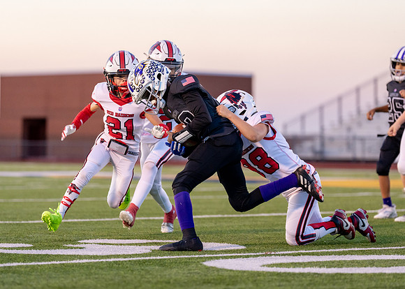 10U Red Radiers vs. Ravens-90