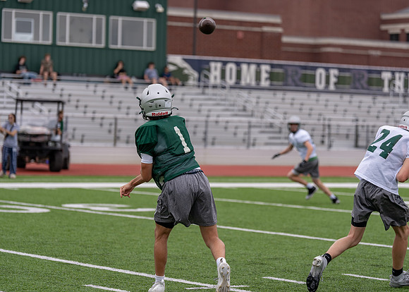Reedy Spring Ball-44