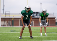 Reedy Spring Ball-11