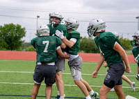 Reedy Spring Ball-17
