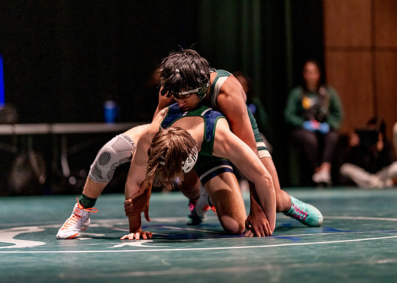LT vs. Reedy-212