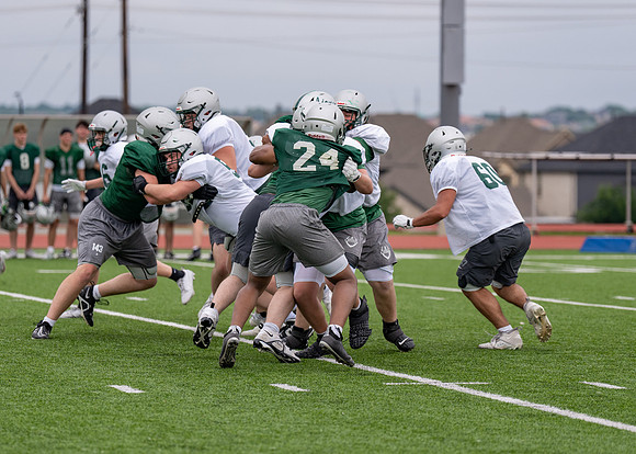Reedy Spring Ball-87