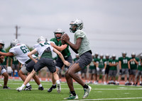 Reedy Spring Ball-14