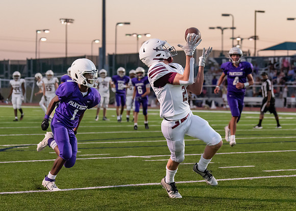 Pearson vs. Pioneer-24