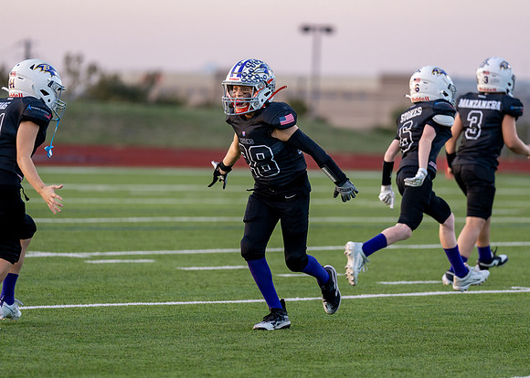 10U Red Radiers vs. Ravens-37