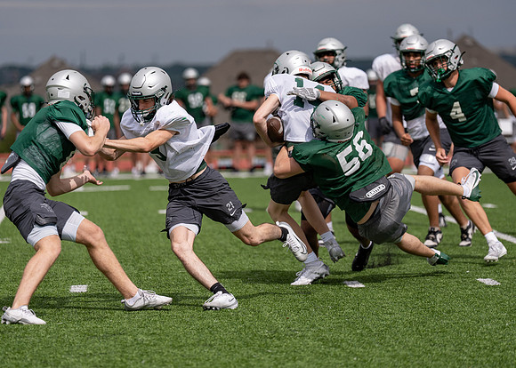 Reedy Spring Ball-110