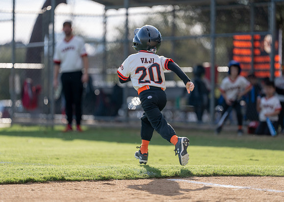 Giants Baseball Action-138