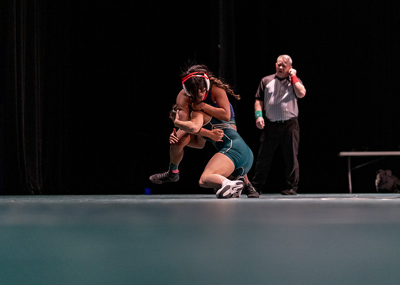 LT vs. Reedy-110