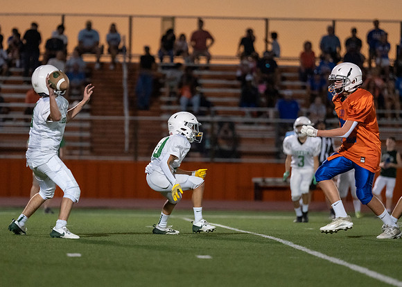 Cobb vs. Griffin 7th A-102