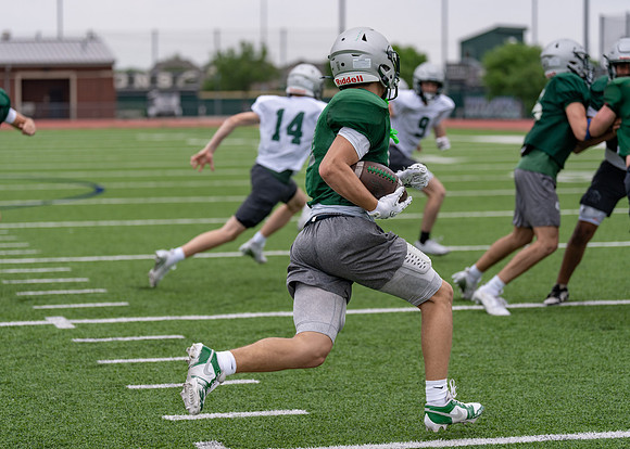 Reedy Spring Ball-50