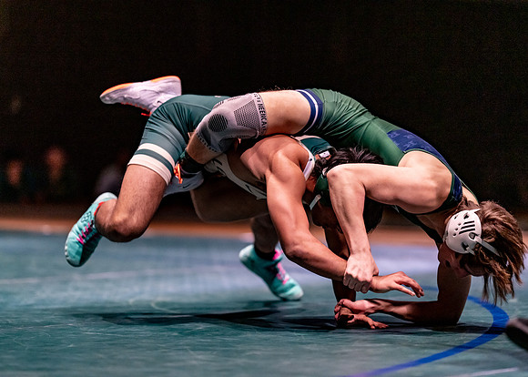 LT vs. Reedy-204