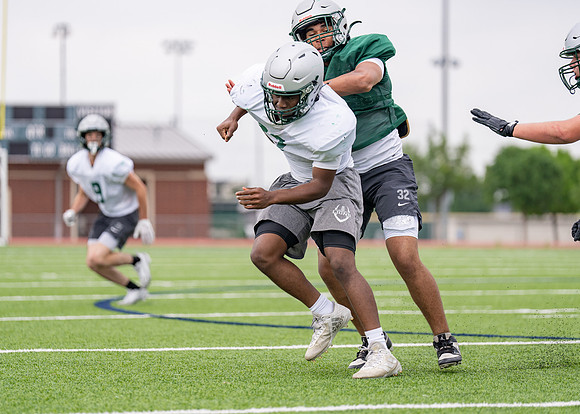 Reedy Spring Ball-65