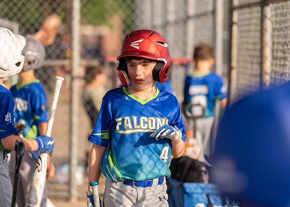 Falcons-190