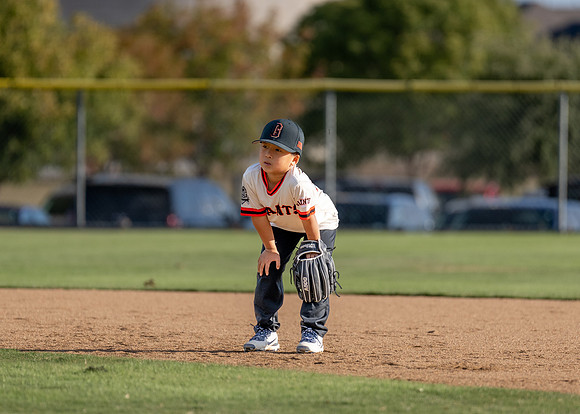 Giants Baseball Action-110