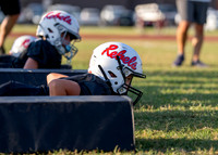 Cowboys and Rebels-13