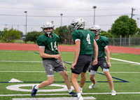 Reedy Spring Ball-16