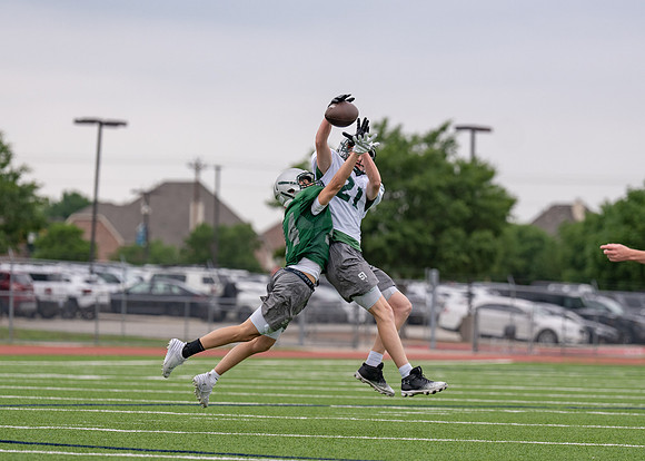 Reedy Spring Ball-47