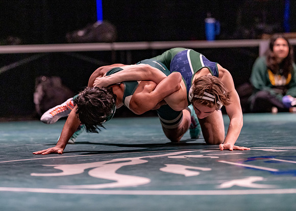 LT vs. Reedy-195