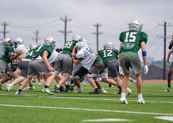 Reedy Spring Ball-99
