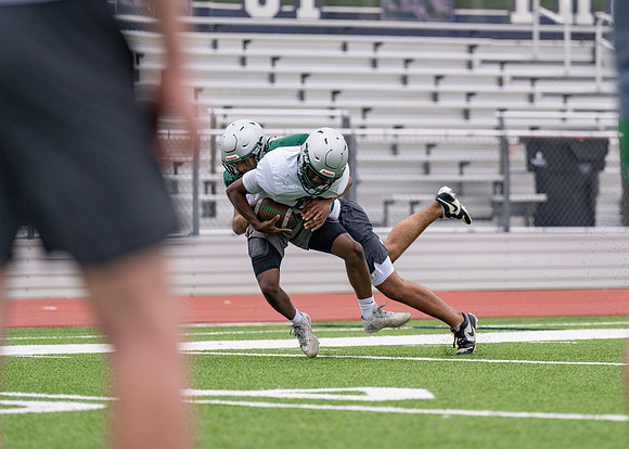 Reedy Spring Ball-64