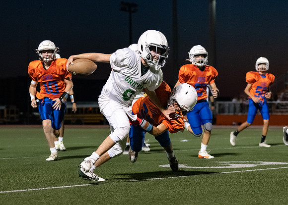 Cobb vs. Griffin 7th A-115
