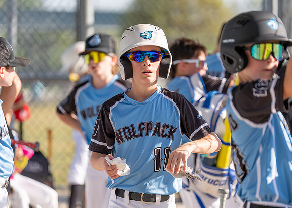 Wolfpack-10