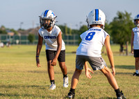 Cowboys-13