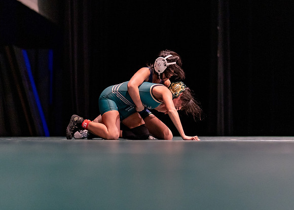 LT vs. Reedy-86