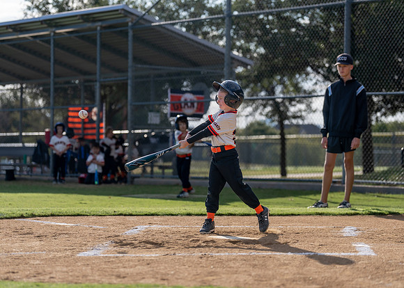 Giants Baseball Action-136