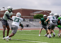 Reedy Spring Ball-3